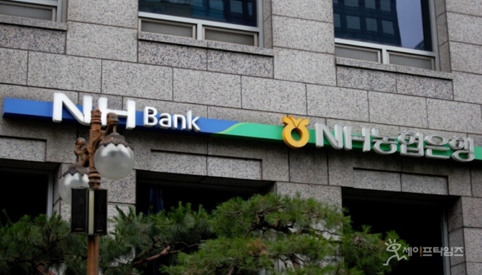 ▲ NH농협은행이 인천 현대시장, 강원 삼척 번개시장 화재 피해자들을 지원하기로 결정했다. ⓒ 세이프타임즈