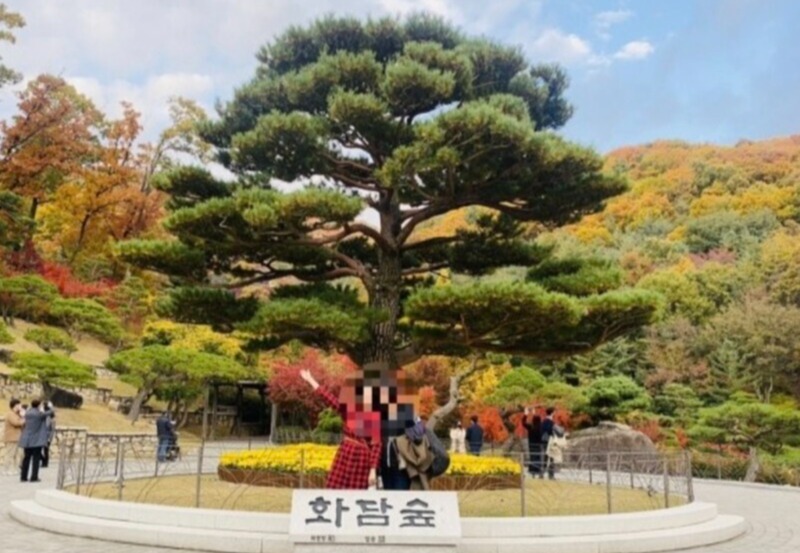 ▲ LG상록재단이 운영하는 화담숲이 음식물 반입을 금지한다는 이유로 고객들의 가방까지 뒤져 물의를 빚고 있다. ⓒ 독자제공