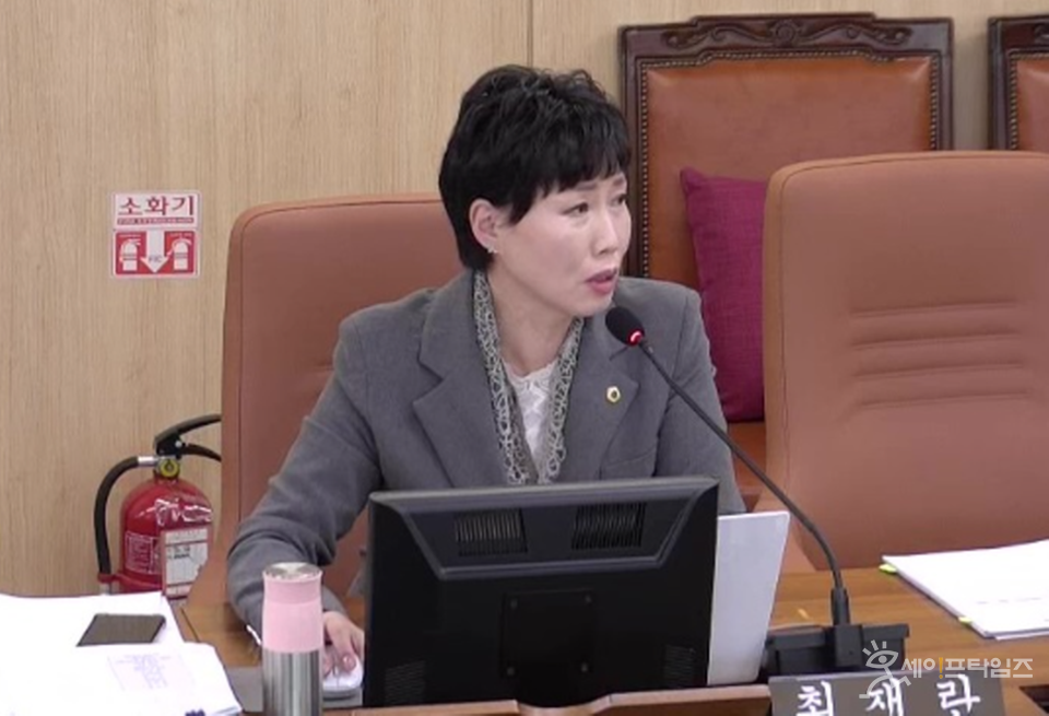 ▲ 최재란 서울시의원이 서울시 강남구 초고층 아파트에 대해 안전성을 지적하고 있다. ⓒ 의원실