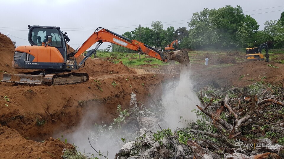 ▲ 충북 음성군 과수화상병 공적방제 추진업체가 폐기 대상 과원의 나무와 기주식물에 대해 매몰 조치를 하고 있다. ⓒ 음성군