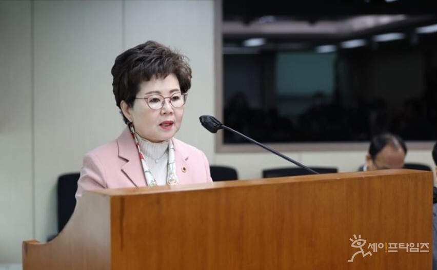 ▲ 왕정순 서울시의원이 개인형 이동장치 관련 교육과 홍보의 필요성을 주장하고 있다. ⓒ 서울시의회 