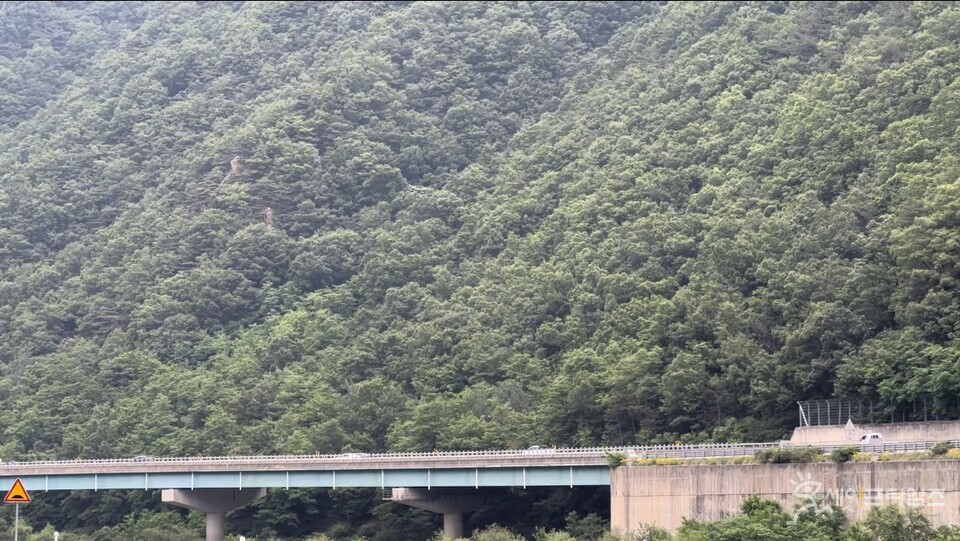 ▲ 경북 문경시의 교량 위로 차량이 통행하고 있다. ⓒ 세이프타임즈