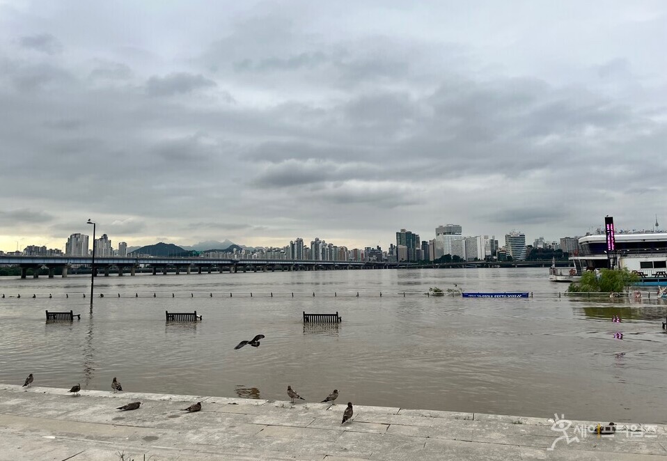 ▲ 폭우로 수위가 급격히 상승한 서울 여의도 한강공원 일부가 물에 잠겨 있다. ⓒ 오승은 기자