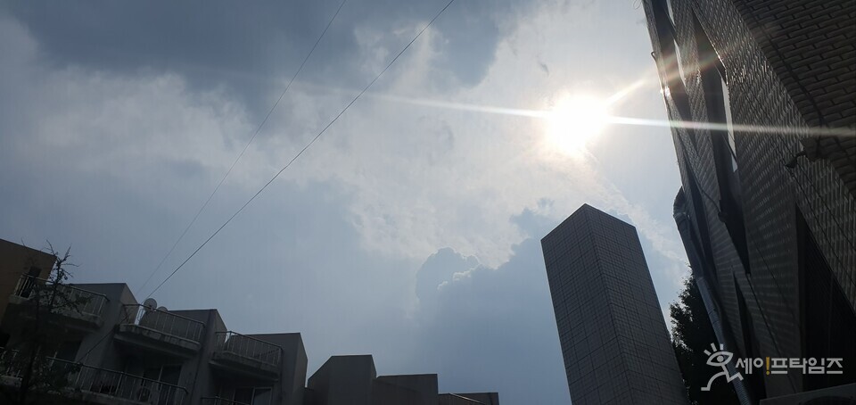 ▲ 최근 지속되는 폭염으로 인한 피해 보상 보험이 인기를 끌고 있다. ⓒ 세이프타임즈