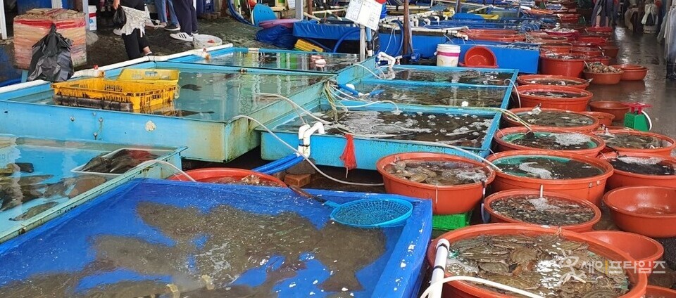  ▲ 충남도는 수산물 소비활성화를 위한 전통시장 온누리 상품권 환급 행사를 개최한다. ⓒ 오선이 기자