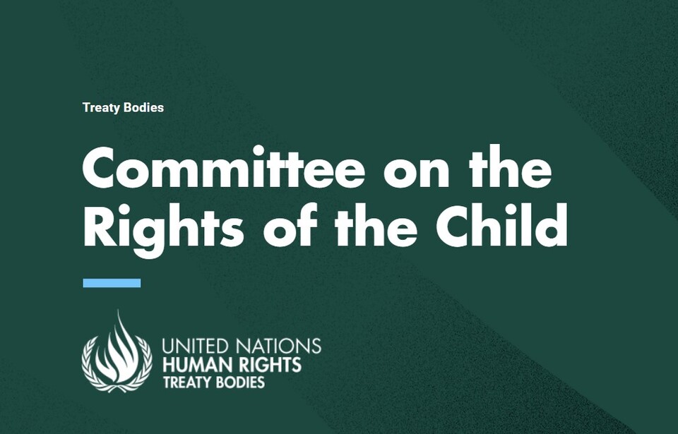 ▲ 유엔 아동권리위원회가 어린이를 위한 기후 변화 대응책을 마련해야 한다고 촉구했다. ⓒ CRC