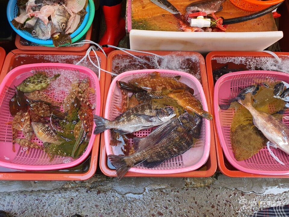  ▲ 대전의 한 수산물 시장에 진열돼 있는 수산물들. ⓒ 오선이 기자