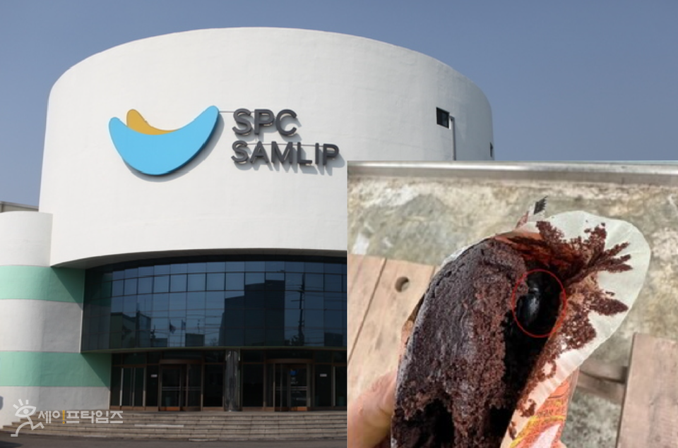 ▲ SPC삼립이 제조한 초코파운드 빵에서 살아있는 풍뎅이가 발견했다는 소비자의 글이 인터넷 커뮤니티에 올라왔다. ⓒ 세이프타임즈