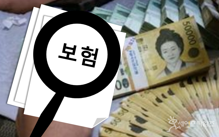 ▲ 국회 본회의에서 실손의료보험 청구 과정을 간소화하는 내용의 보험업법 개정안이 통과됐다. ⓒ 세이프타임즈