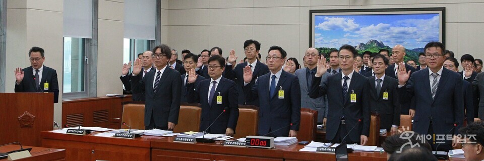 ▲ 정부 관계자들이 19일 국회 본관에서 열린 국정감사에서 증인 선서를 하고 있다. ⓒ 김주헌 기자