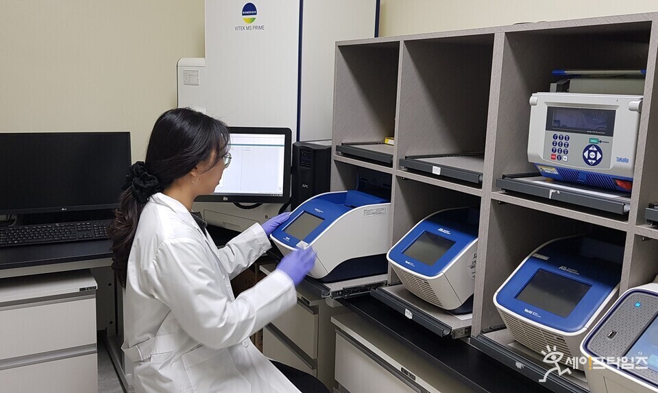 ▲ 대전보건환경연구원 관계자가 노로바이러스 시험 검사를 하고 있다. ⓒ 대전시