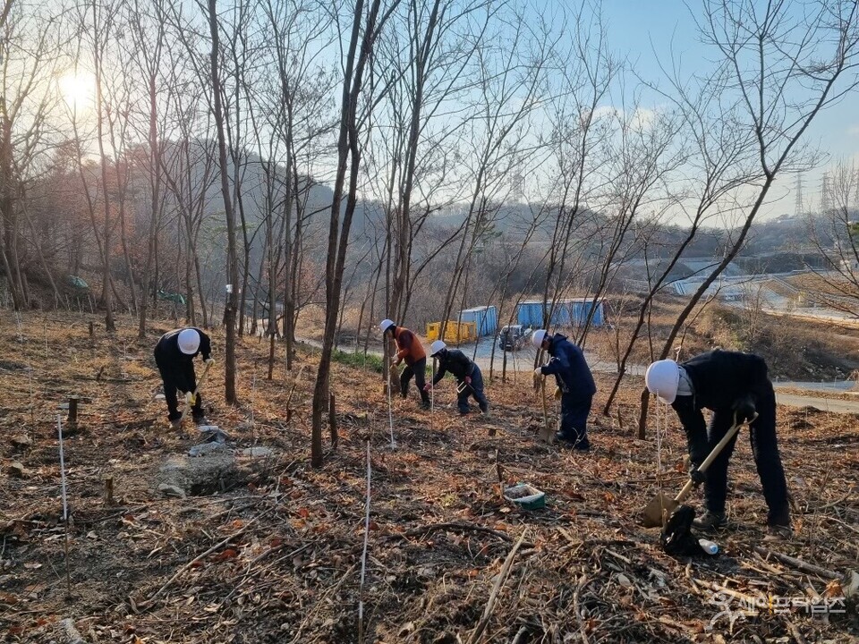 ▲ 한국석유공사 울산지사 관계자들이 탄소흡수원을 조성하기 위해 상수리 나무를 식재하고 있다. ⓒ 석유공사
