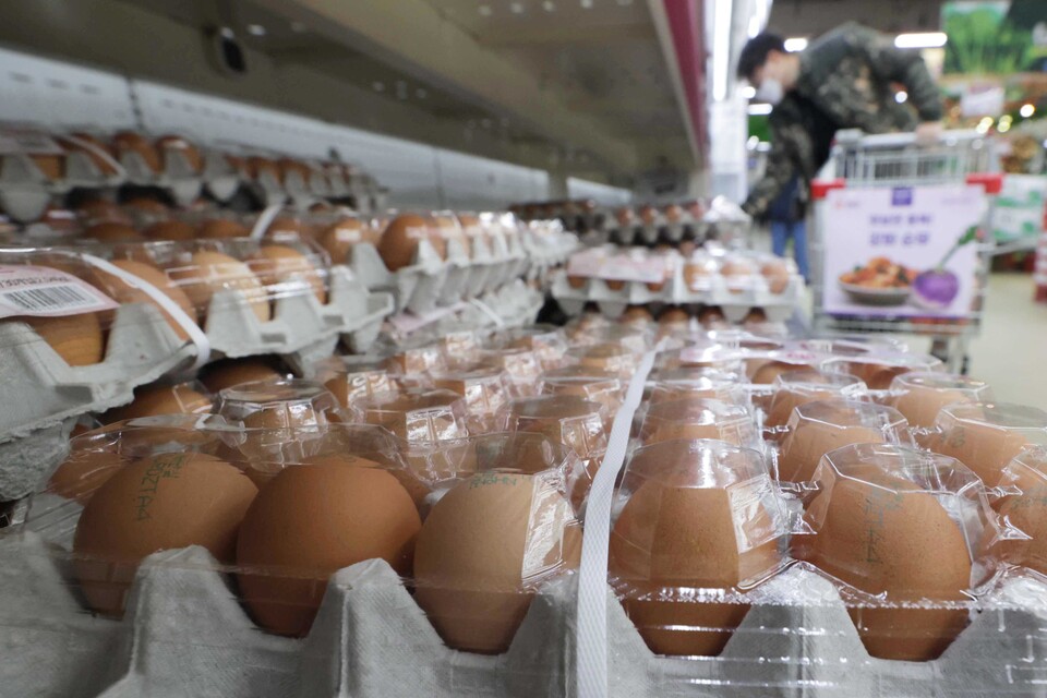 ▲ 농림축산식품부가 고병원성 조류인플루엔자(AI) 확산과 설 성수기에 대비해 계란 가격 안정을 위한 종합대책을 추진한다. 설 성수기 기간(1월 11일~2월 8일) 농축산물 할인지원을 통해 소비자는 30% 할인된 가격으로 계란을 구매할 수 있다. ⓒ 연합뉴스