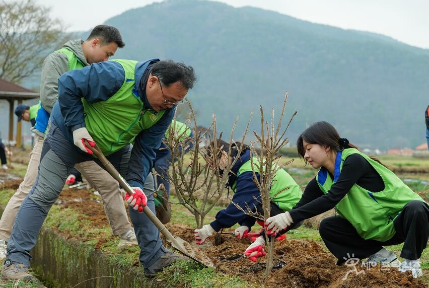 ▲ 한국토지주택공사(LH) 관계자들이 산불피해 지역에 나무를 심고 있다. ⓒ 한국토지주택공사