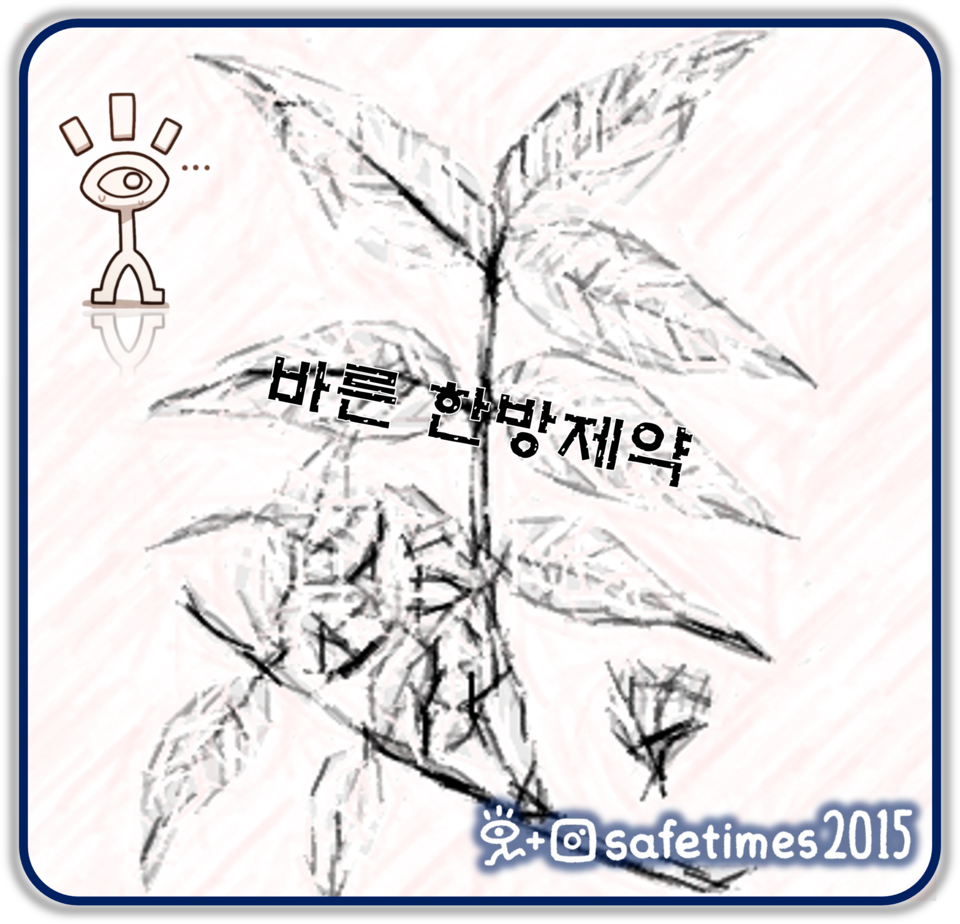 ▲ 식품의약품안전처가 바른한방제약의 바른황백 제품에 성상 시험 부적합 판정을 내리고 제조업무정지 3개월을 명령했다. ⓒ 세이프타임즈