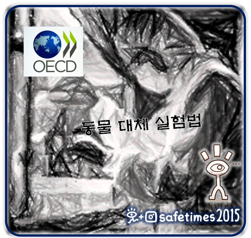 ▲국내 개발 동물대체시험범이 국제표준화를 위한 경제협력개발기구(OECD)의 시험지침 작업반 공식사업으로 추진된다. ⓒ 세이프타임즈