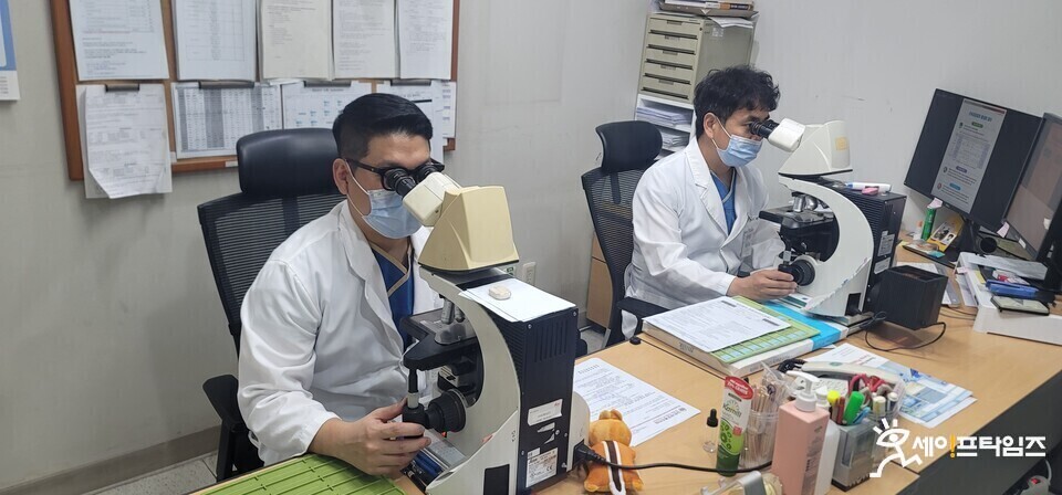 ▲ 서울지역의 한 대형병원에 근무하는 세포전문임상병리사(PA)가 환자의 조직을 현미경으로 분석하고 있다. ⓒ 세이프타임즈
