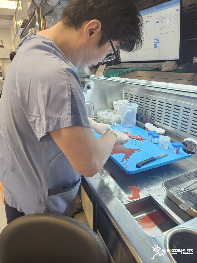 ▲ 서울지역의 한 대형병원 육안전문임상병리사(PA)가 환자의 조직을 검사하고 있다. ⓒ 세이프타임즈