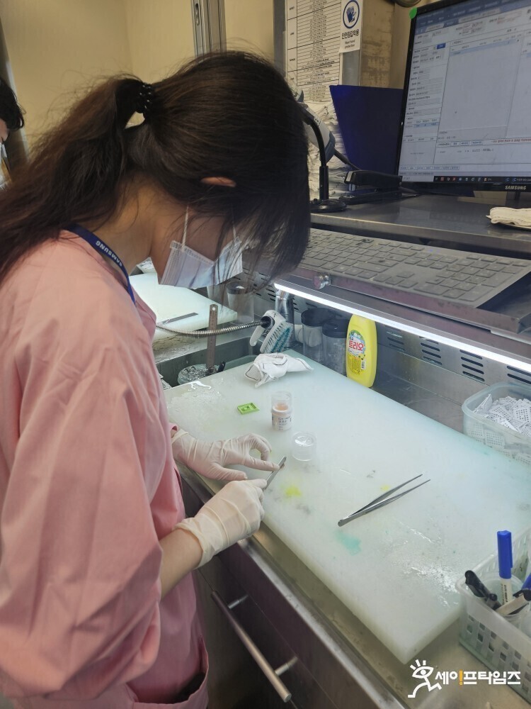 ▲ 서울지역의 한 대형병원 육안전문임상병리사(PA)가 환자의 조직을 살펴보고 있다. ⓒ 세이프타임즈