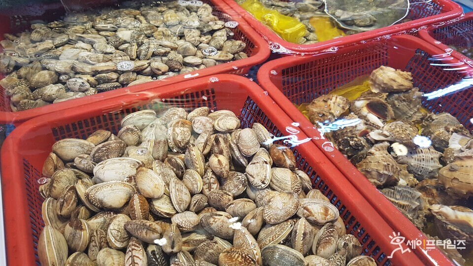 ▲ 비브리오패혈증 예방을 위해서 어패류는 5도 이하로 저온 보관하고 흐르는 수돗물에 깨끗이 씻어서 85도 이상으로 충분히 익혀 먹어야 한다. ⓒ 세이프타임즈