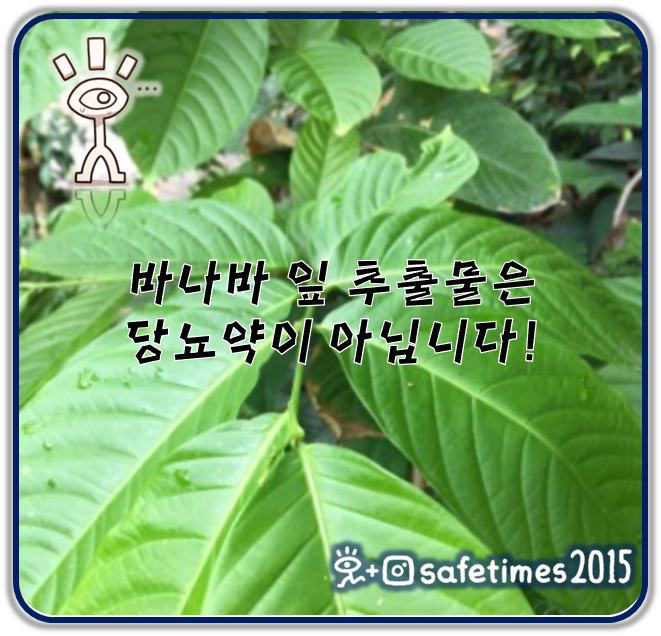 ▲ 식품의약품안전처가 '당뇨 예방·치료' 등 온라인 부당광고 게시물 177건을 적발했다. ⓒ 세이프타임즈