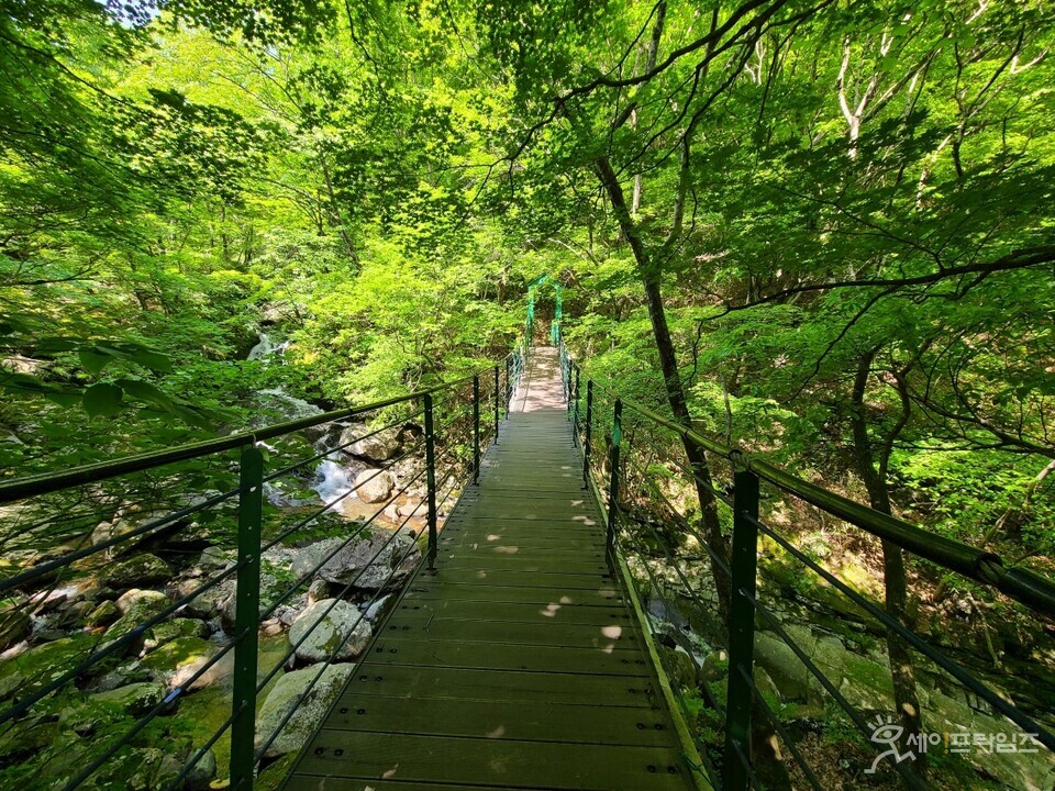 ▲ 지리산자연휴양림 소금길에 있는 출렁다리의 모습이다. ⓒ 국립자연휴양림관리소