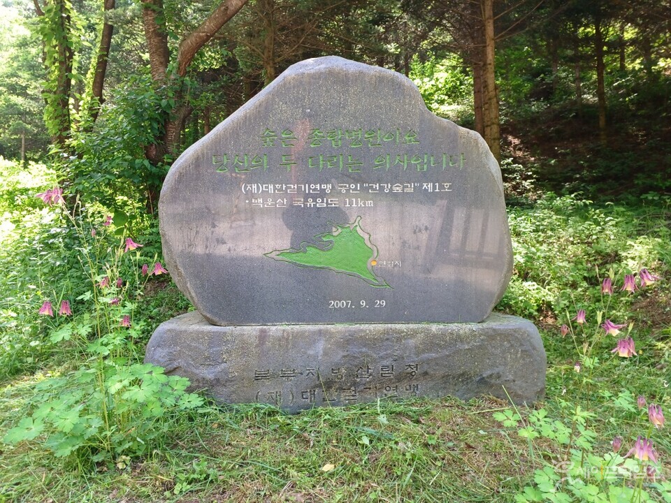 ▲ 백운산자연휴양림에서 볼 수 있는 건강숲길 제1호이다. ⓒ 국립자연휴양림관리소