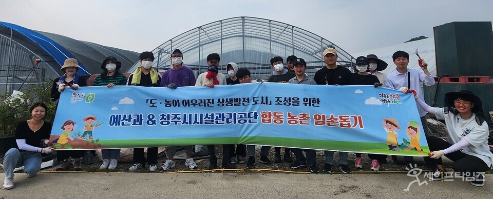  ▲ 청주시 예산과와 시설관리공단직원들이 농촌 일손돕기에 나섰다. ⓒ 청주시