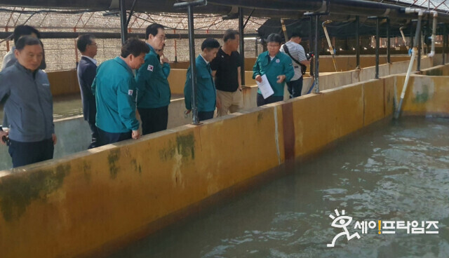 ▲ 송명달 해양수산부 차관이 전남 완도 넙치 양식장을 방문해 양식생물의 폐사를 예방할 수 있는 액화산소 공급장치 등 고수온 대응 사전 준비 상황을 점검하고 있다. ⓒ 해수부