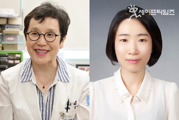 ▲ 분당서울대병원 교수가 대한암학회 학술대회에서 기초분야 우수 논문상을 수상했다. 왼쪽부터 김나영 분당서울대병원 소화기내과 교수, 제1저자 송진희 연구교수 ⓒ 분당서울대병원