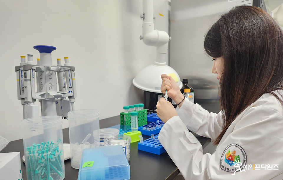 ▲ 국립호남권생물자원관 연구원이 칡잎의 기능성 원료의 표준화를 위해 연구를 하고 있다. ⓒ 환경부