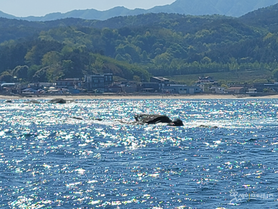 ▲ 해양수산부가 항로표지를 설치한 대진항 북방 500m 해상의 암초의 모습. ⓒ 해수부