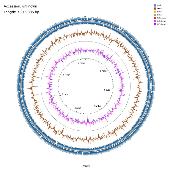 ▲ 플랑크토트리코이데스 전장유전체 지도. ⓒ 경기도보건환경연구원