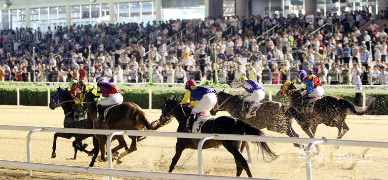 ▲ 한국마사회는 2021년 공공데이터 제공 운영실태 평가에서 3년 연속 최고등급 우수기관으로 선정됐다. ⓒ 한국마사회