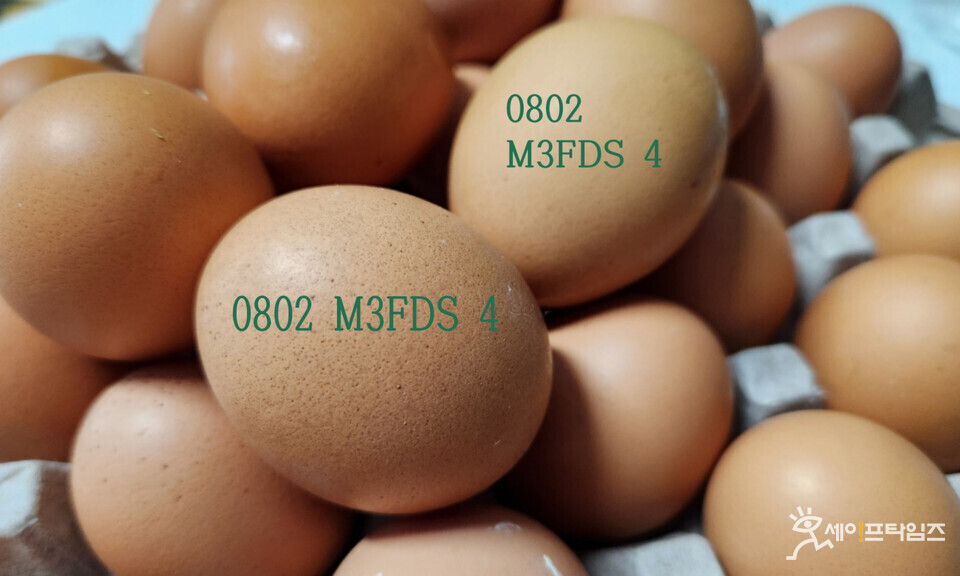 ▲ 달걀 껍데기에 산란일자, 생산농장 고유번호, 사육환경 번호가 표시돼 있다. ⓒ 김미영 기자
