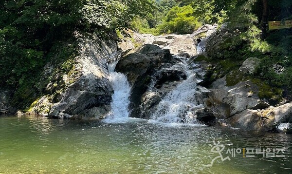 ▲ 여름을 맞은 경남 산청군 오봉계곡.  ⓒ 손예림 기자