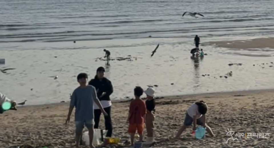 ▲ 인천의 왕산해수욕장에 ⓒ