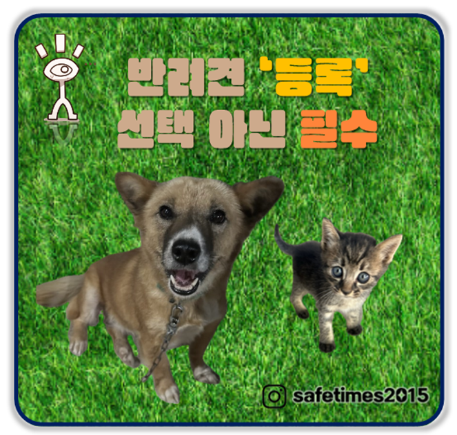 ▲ 농림축산식품부가 5일부터 다음 달 30일까지 반려견 등록 자진 신고 기간을 운영한다. ⓒ 세이프타임즈