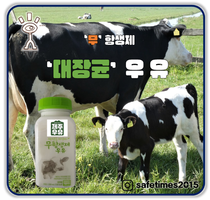 ▲ 식약처가 시중에 유통된 농업회사법인 주식회사 제주우유가 제조한 '자연을 마신다 무항생제우유'에서 대장균이 기준치 초과로 판정돼 판매를 중단하고 회수 조치한다고 밝혔다. ⓒ 세이프타임즈