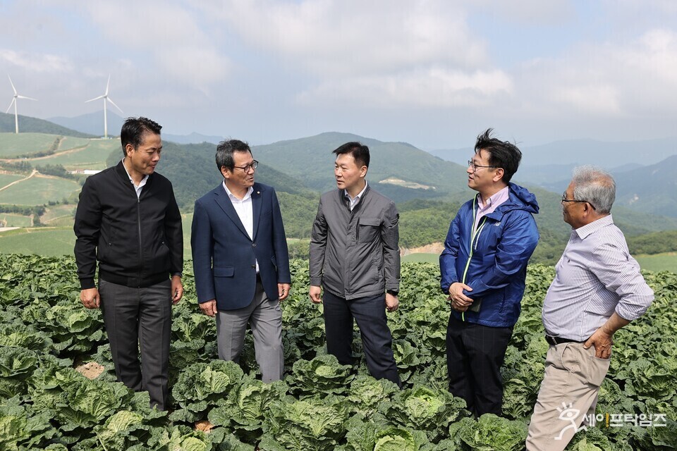 ▲ 박범수 농림축산식품부 차관(가운데)과 김범석 기획재정부 제1차관(오른쪽 두번째)이 강원도 강릉 안반데기 고랭지 배추밭을 방문해 여름배추 작황을 점검하고 있다. ⓒ 농식품부