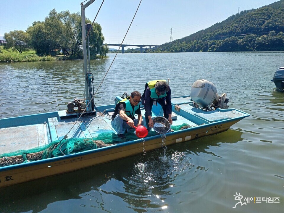 ▲ 경기 양평군 관계자가 수산자원 조성을 위해 동자개 치어를 방류하고 있다. ⓒ 양평군