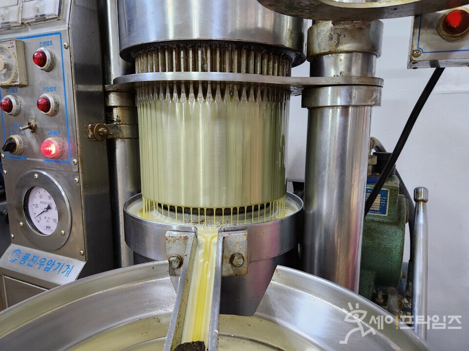 ▲ 유지추출에 사용되는 착유기에서 들기름이 추출되고 있다. ⓒ 김미영 기자