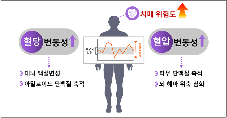 ▲ 질병관리청 국립보건연구원은 노인성 치매 환자 코호트 분석을 통해 혈당 변동성과 혈압변동성이 알츠하이머병 지표와 혈관성치매 지표에 영향을 미친다는 것을 확인했다. ⓒ 질병청