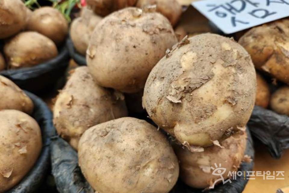 ▲삶거나 쪄먹기 좋은 햇감자. ⓒ 김미영 기자