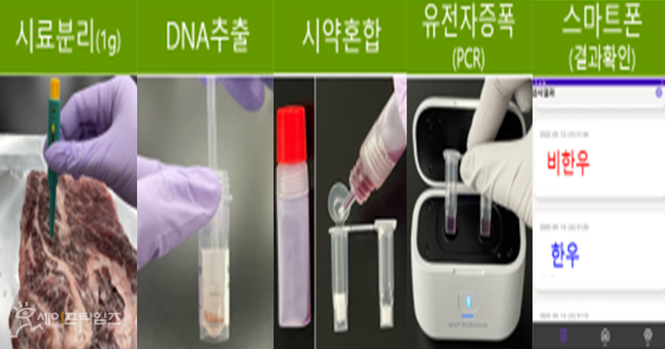 ▲ 현장 단속용 쇠고기 원산지판별 키트 사용 절차. ⓒ 농산물품질관리원