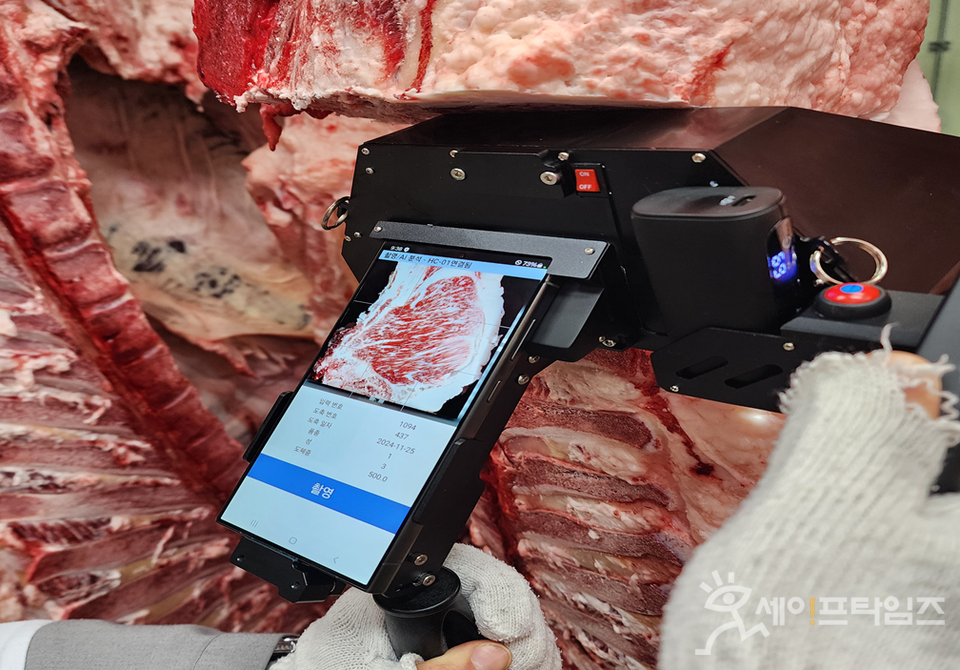 ▲ 축산물품질평가사가 소 도체 기계 품질평가 장비로 등심단면을 촬영하고 있다. ⓒ 축산물품질평가원