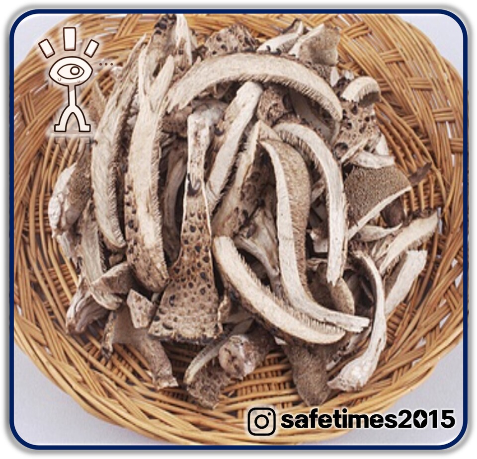 ▲ ⓒ 세이프타임즈