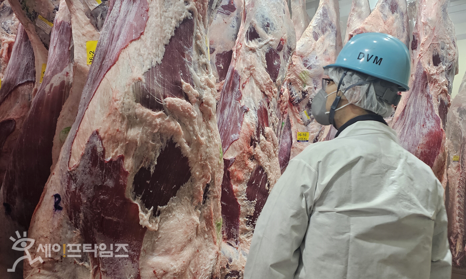 ▲ 인천 보건환경연구원 도축검사관이 도축 육류에 대해 위생검사를 하고 있다. ⓒ 인천시