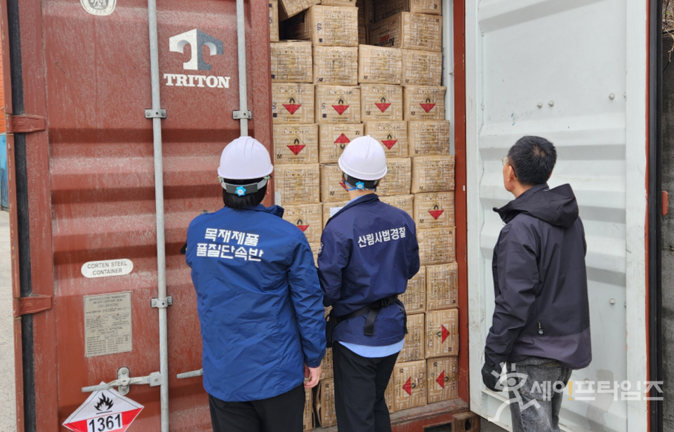▲ 산림청과 관세청 관계자들이 불법·불량 수입 목재제품을 차단하기위해 통관검사를 하고 있다. ⓒ 산림청