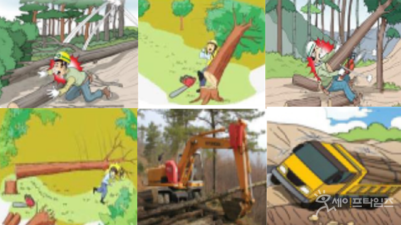 ▲ 산림청이 산림사업장 내 재해·위험 상황을 사전에 방지하고 노동자의 안전의식을 제고하기 위해 매월 유형별 안전사고 대책을 제공하는 예방예보제를 운영한다. ⓒ 산림청